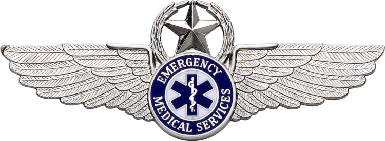 9640SW EMT Star & Wreath Wing - Click Image to Close