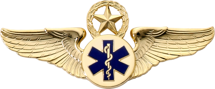 8890SW EMT Star & Wreath Wing - Click Image to Close