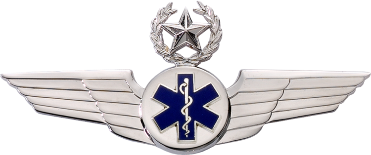 7860SW EMT Star & Wreath Wing - Click Image to Close