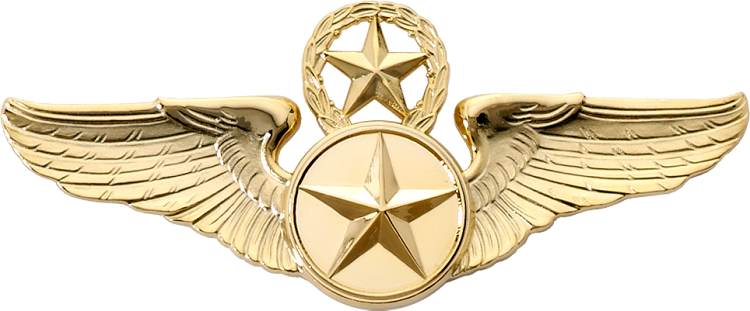 8890SW Star & Wreath Wing with Generic Emblem - Click Image to Close