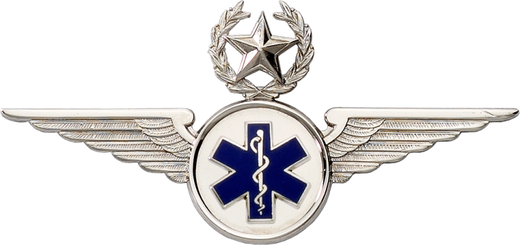 5320SW EMT Star & Wreath Wing - Click Image to Close