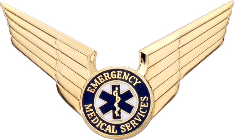 7960 EMT Cap Badge - Click Image to Close