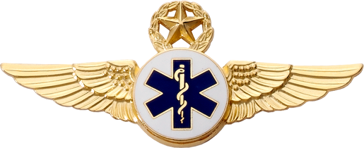 Ems Insignias Great Wings Fine Aviation Jewelry And Insignia