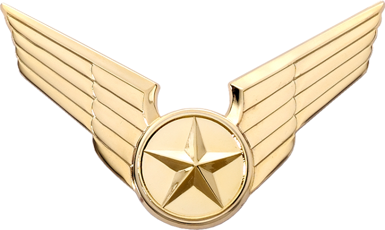 7960 Cap Badge with Generic Emblem - Click Image to Close