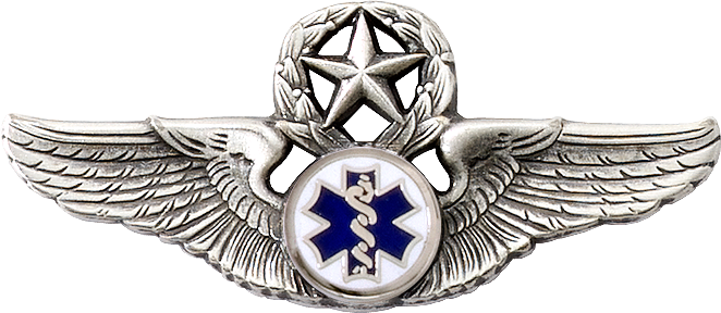 8256SW EMT Star & Wreath Wing - Click Image to Close