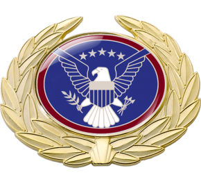 3465 Cap Badge
